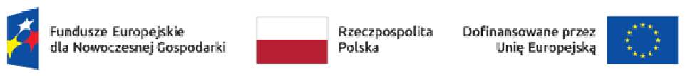 Marks: Fundusze Europejskie dla Nowoczesnej Gospodarki, Rzeczpospolita Polska, Dofinansowane przez Unię Europejską